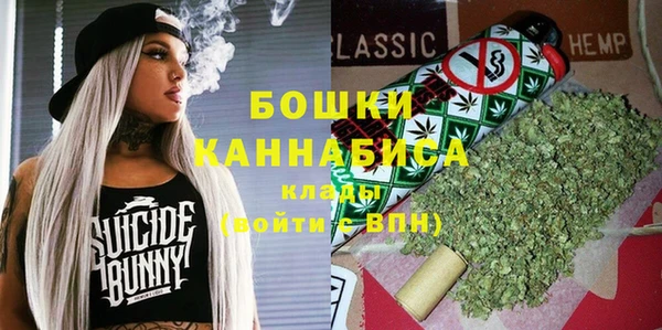 хмурый Горно-Алтайск