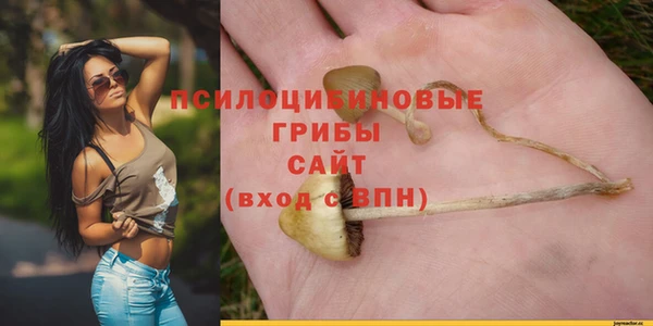хмурый Горно-Алтайск