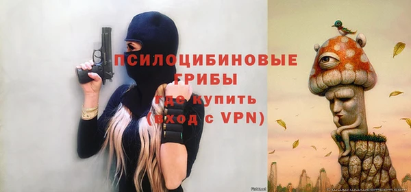 хмурый Горно-Алтайск