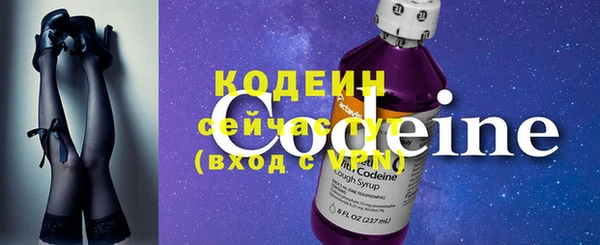 хмурый Горно-Алтайск