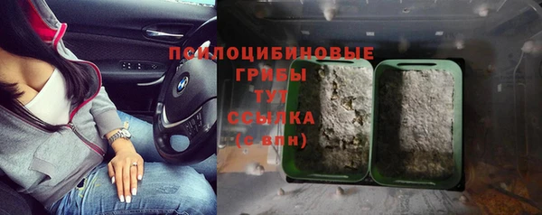 стафф Новокубанск