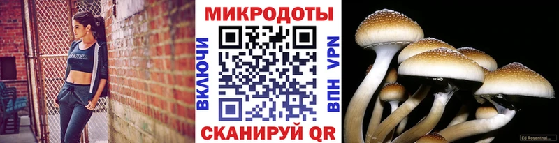 сайты даркнета клад  Окуловка  Псилоцибиновые грибы Psilocybe 
