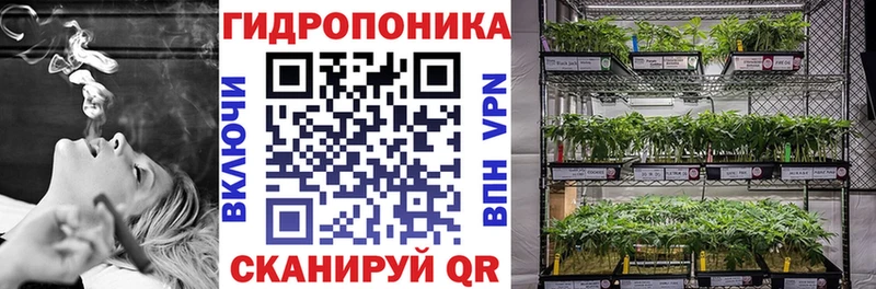 Бошки Шишки индика  KRAKEN как зайти  Окуловка 